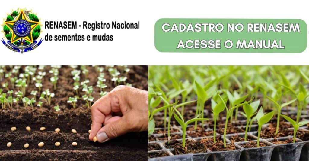 CADASTRO NO RENSEM COMO FAZER ACESSE O MANUAL